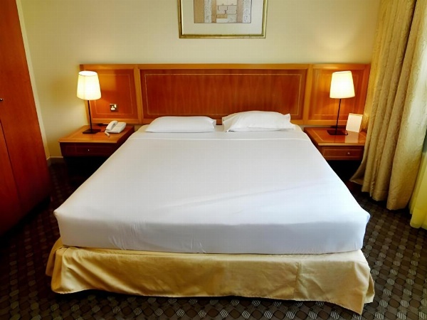 Emirates Plaza Hotel image 3